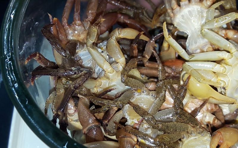 Dùng 1 lít nước để lọc cua hai lần